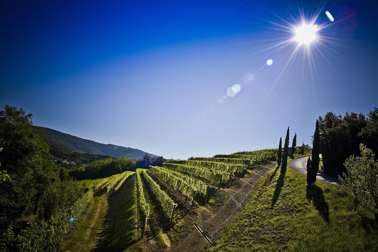 Venica & Venica Wine Resort Dolegna del Collio 외부 사진